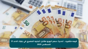 قيمة متغيرة.. تحديث سعر اليورو مقابل الجنيه المصري في بنوك الأحد 31 أغسطس 2025